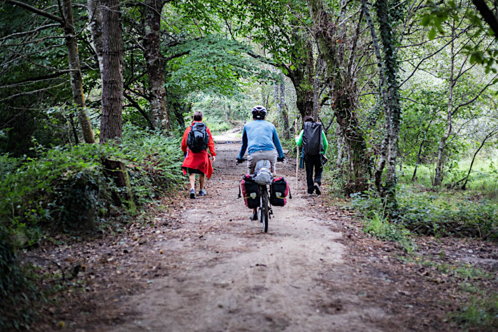 Camino de Santiago, vandringsled.