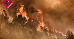 Naturbrand i Alicante