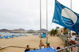 Strand med blå flagg.