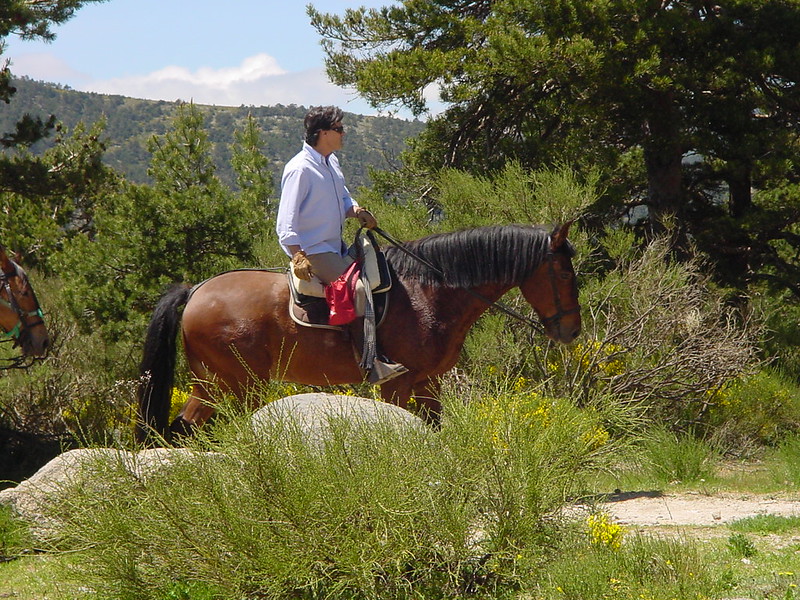 Väg från Cercedilla till Segovia.