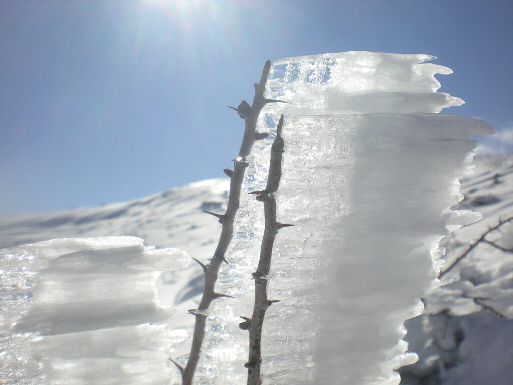 Snömotiv i Sierra de las Nieves.