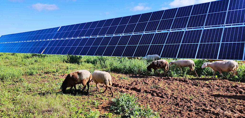 Solpaneler som producerar solenergi från solen.