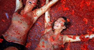 La Tomatina, festival.