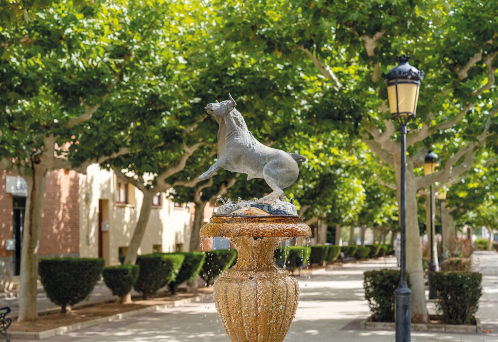 En park i Cariñena. 