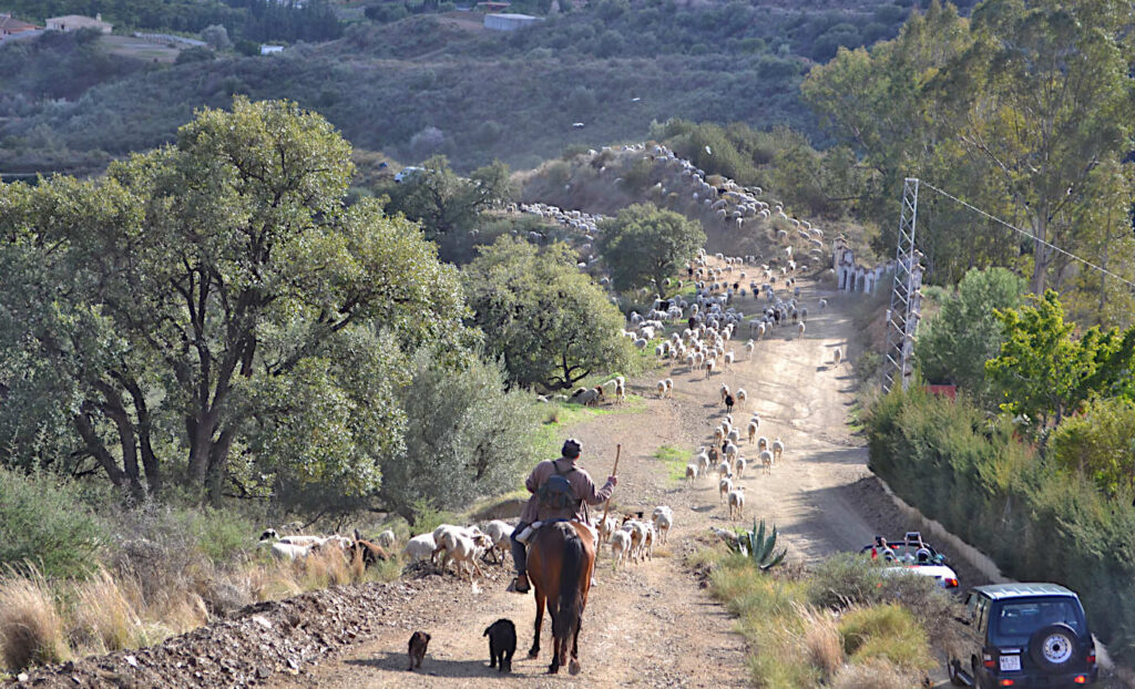 En vanlig januaridag i Andalusien.