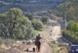 En januaridag i Andalusien, Spanien.