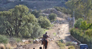 En januaridag i Andalusien, Spanien.