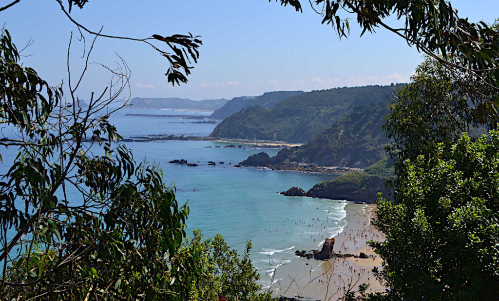 Badvikar i Asturien i norra Spanien.