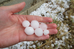Hagel efter hageloväder.