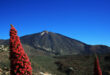Teide på Teneriffa
