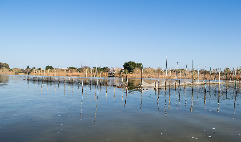 l'Albufera, Valencia.