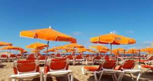 Solsängar och parasoller på Gran Canaria, Spanien.