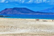 Playa Corralejo på Fuerteventura, Spanien.
