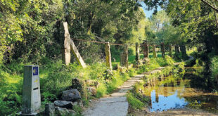 Pilgrimsvandring till Santiago de Compostela, Spanien.