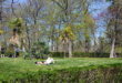 Retiroparken i Madrid den 24 mars 2026.