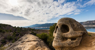 En av skulpturerna på Ansiktsrutten, Spanien.