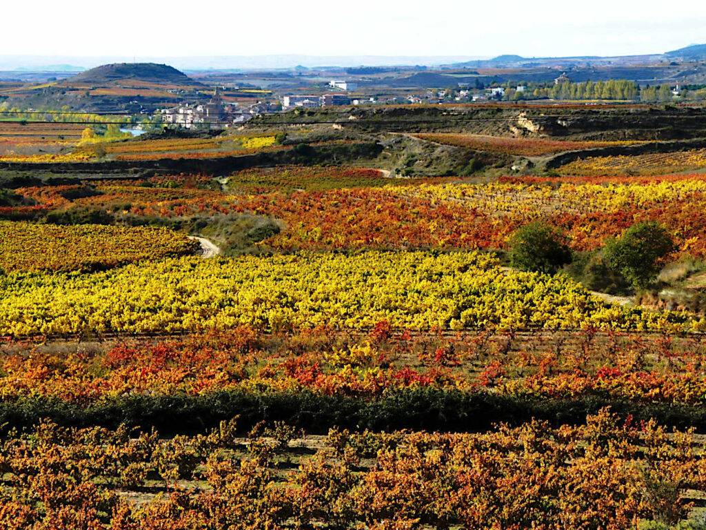 La Rioja, Spanien.
