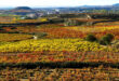 La Rioja, Spanien.