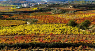 La Rioja, Spanien.
